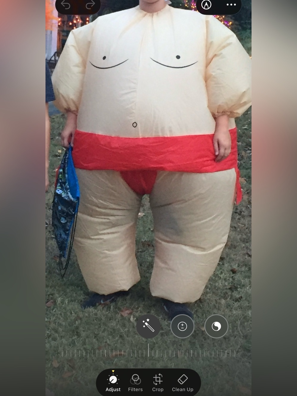 Sumo Wrestler Halloween Costume